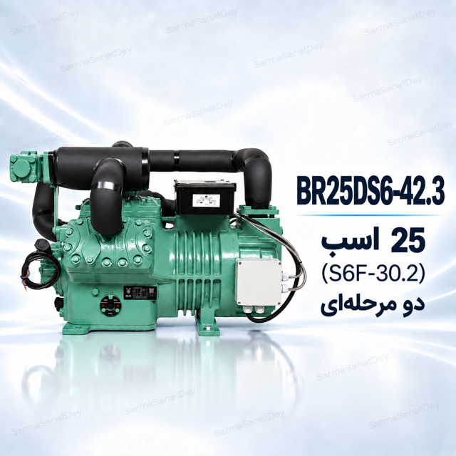 کمپرسور چینی دو مرحلهای طرح بیتزر ZSJ مدل BR30DS6-50.5 | 30 HP