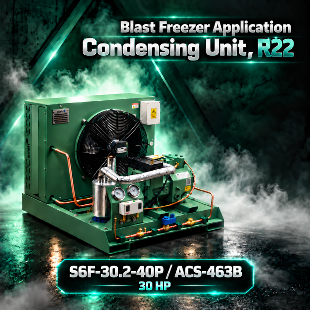 S6F-30.2-40P / ACS-463B توان 30HP | کندانسینگ یونیت آسه R22 بلاست فریزر